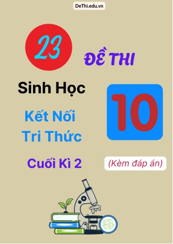 Bộ 23 Đề thi Sinh học 10 Kết Nối Tri Thức cuối kì 2 (Kèm đáp án)